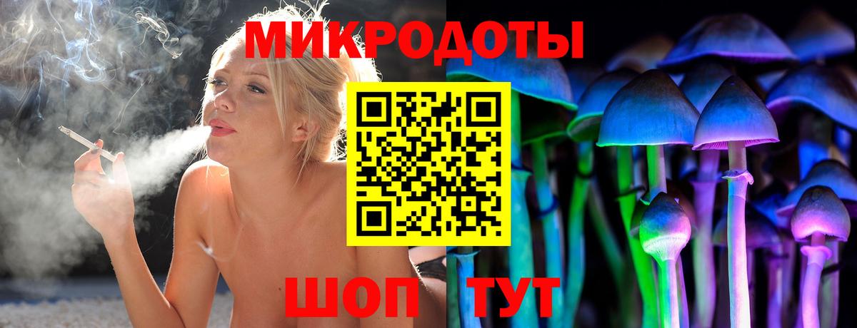 Кириши  Псилоцибиновые грибы Psilocybe  Вход с VPN  где можно купить   Псилоцибиновые грибы мицелий 