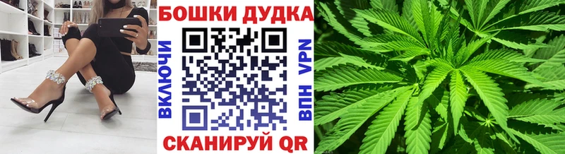 Бошки Шишки семена  hydra сайт  Кириши 